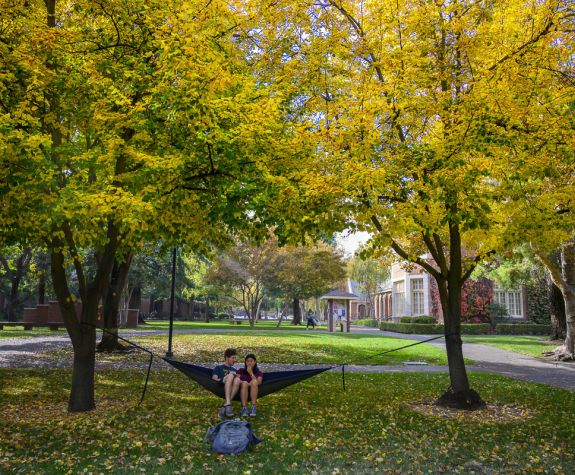 students sitting in hammock