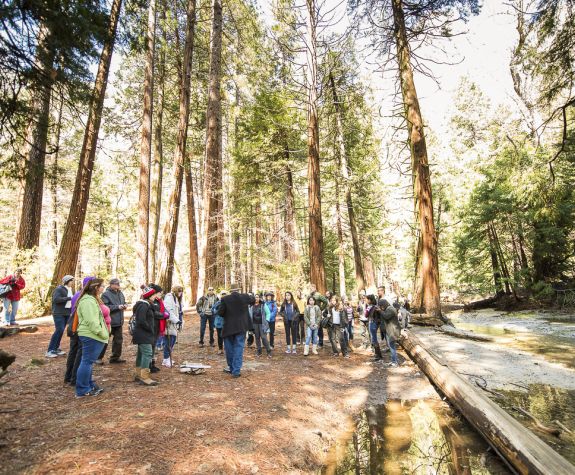 participants of the John Muir Symposium travelled to Yosemite National Park. Large trees surround the students while a John Muir reenactor provides the history of the area.
