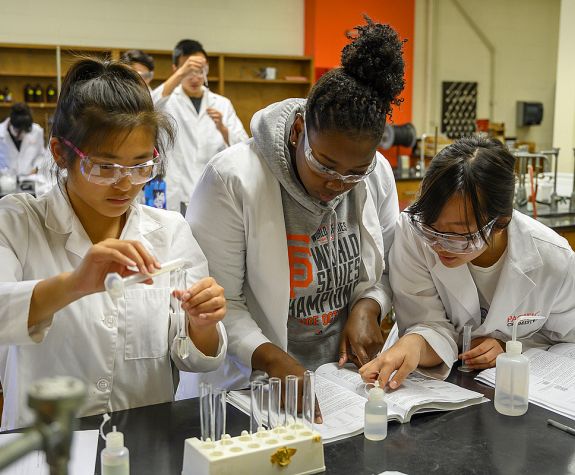 students working on chemicals