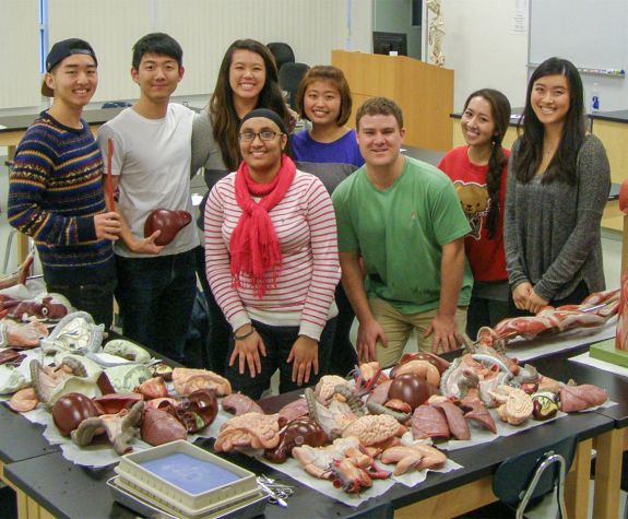 Anatomy team of students with anatomical models