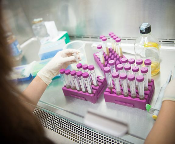 Pharmacy research test tubes