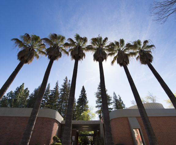 palm trees sacramento campus