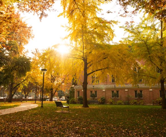 the university at sunset