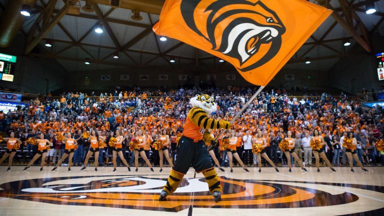 men's basketball