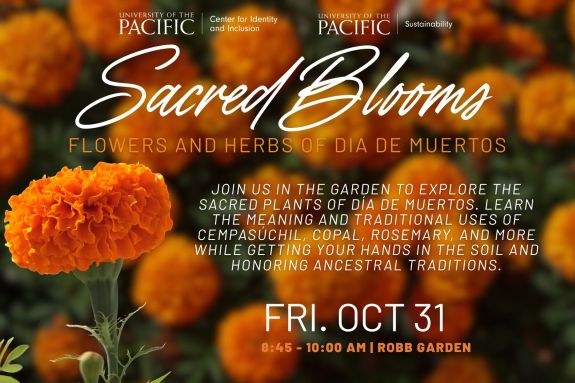 Join the Center for Identity and Inclusion and the Sustainability Office in the garden to explore the sacred plants of Día de Muertos. Learn the meaning and traditional uses of cempasúchil, copal, rosemary, and more — while getting your hands in the soil and honoring ancestral traditions. Friday, October 31, 2025 8:45 to 10:00 AM Ted and Chris Robb Garden For questions, please email thecenter@pacific.edu. For more Dia de Muertos events, visit: Dia De Los Muertos Week | University of the Pacific
