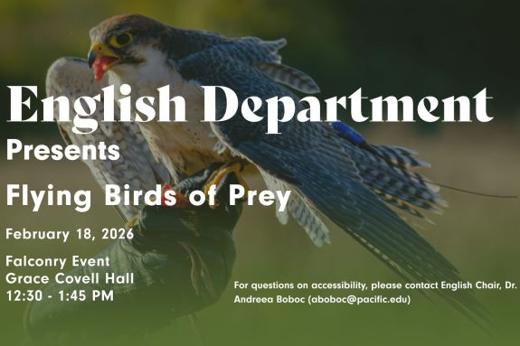 Flying Birds of Prey