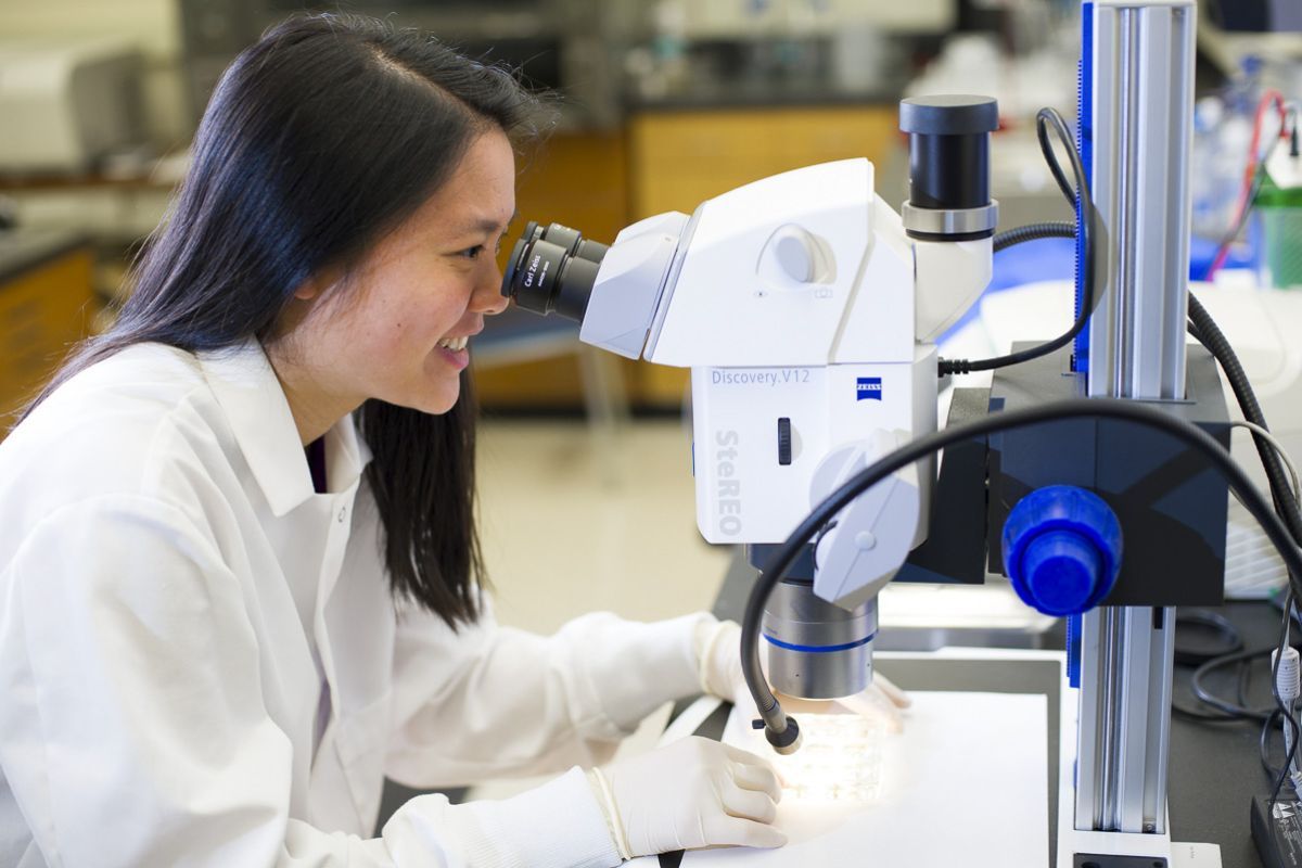 biology student using microscope