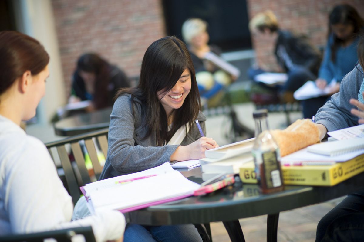 English student studying outdoors