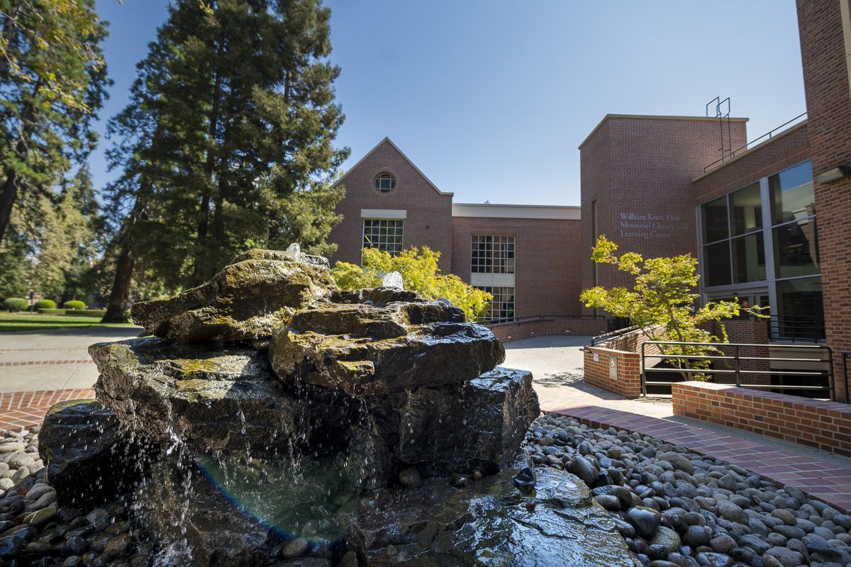 library water feature