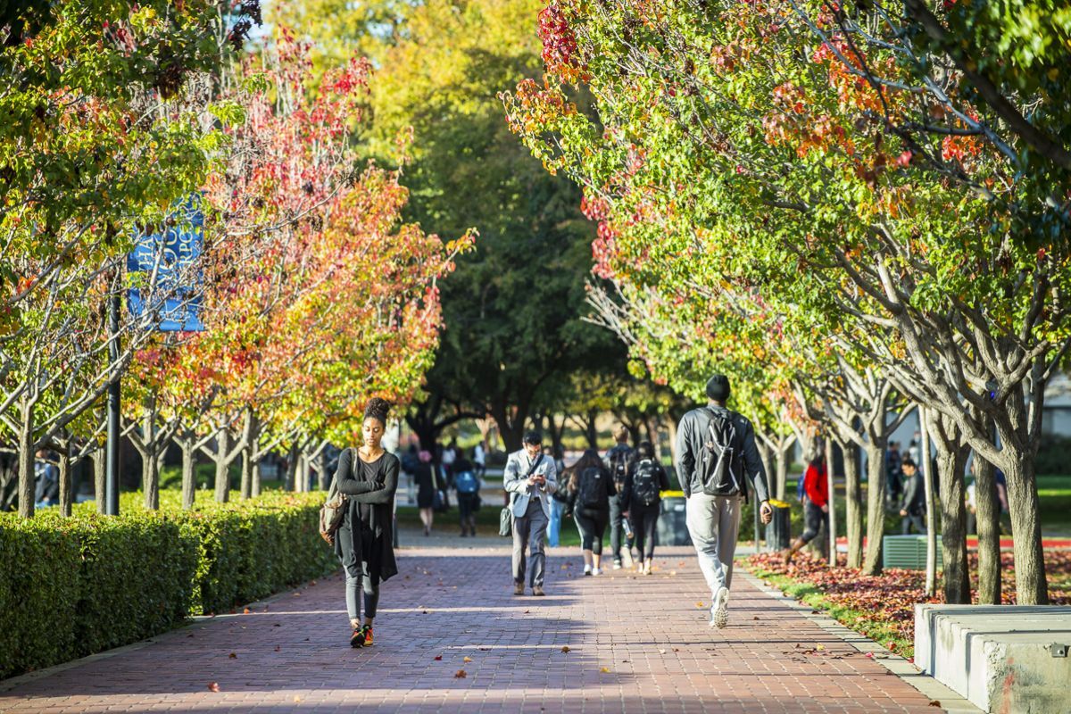 students walk on campus in the fall