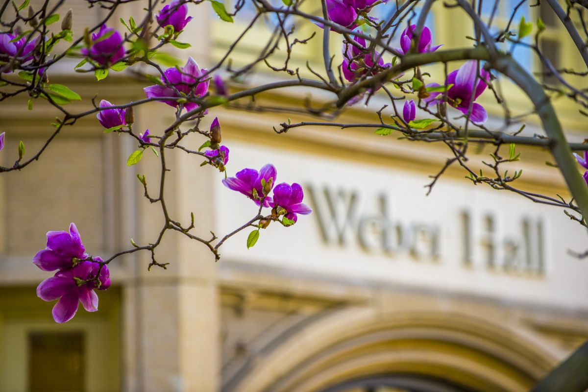 Weber Hall