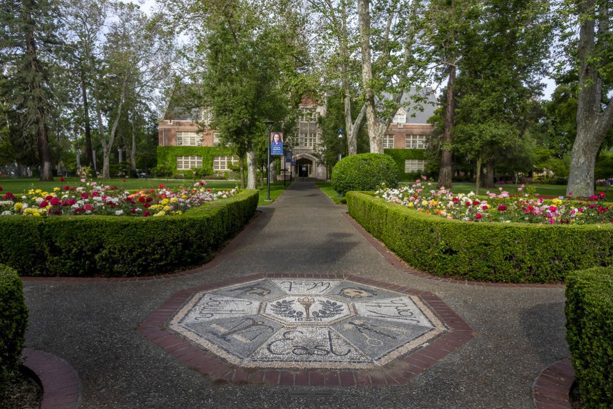 Rose Garden