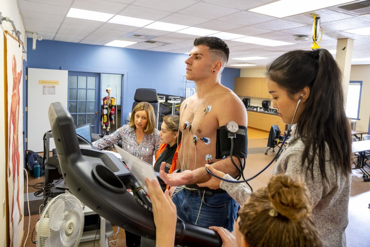 Professor in Fitness