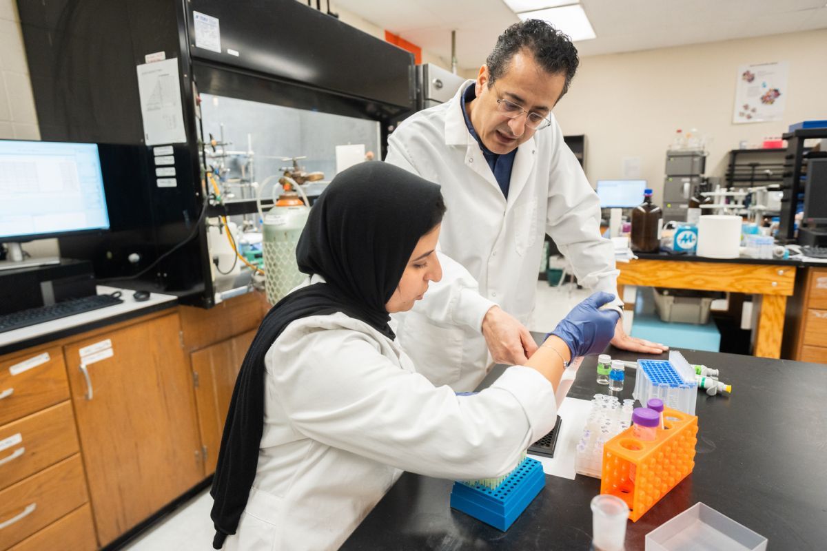 a professor and graduate student work together