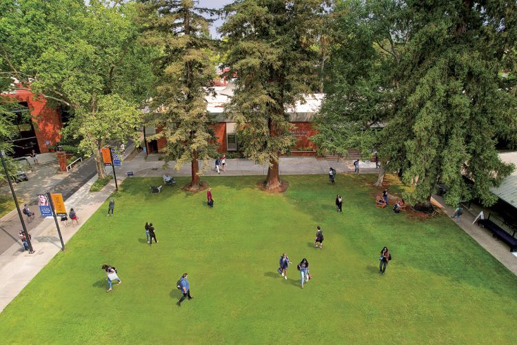 An aerial view of the Sacramento campus quad. Approximately 20 students are pictured in various locations on the quad. Lots of greenery and trees are visible.