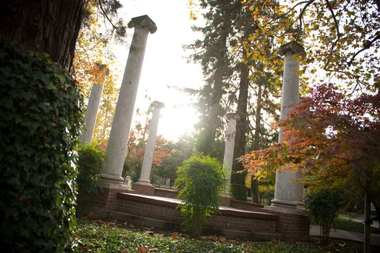 Autumn leaves agains the columns.