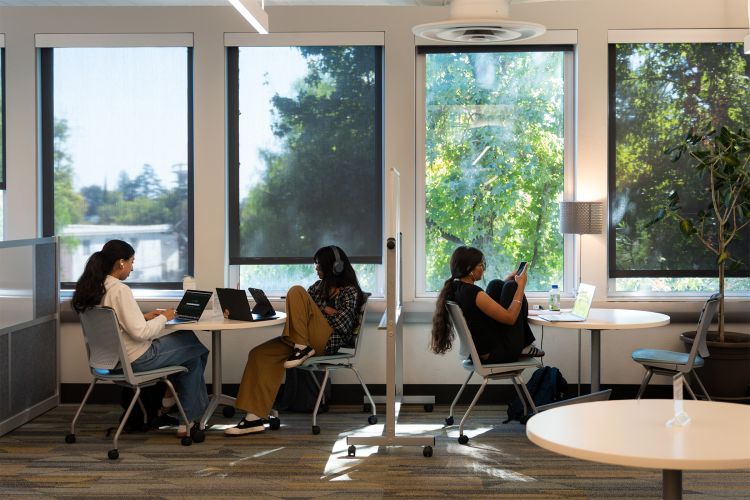 students study next to windows