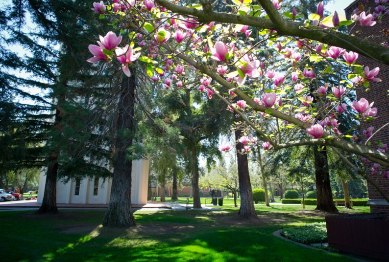 University of the Pacific campus beauty