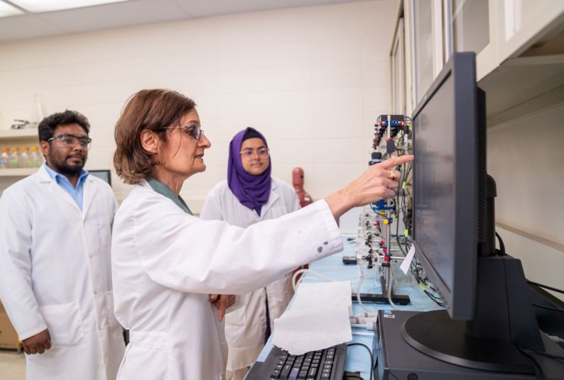 Professor Roshanak Rahimian points to a computer screen in her lab