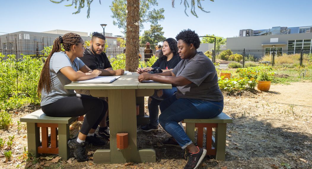 students sitting in Robb Garden
