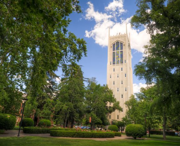 burns tower