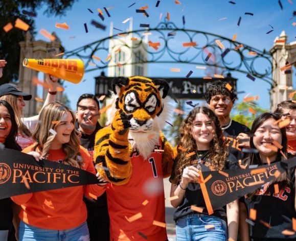 tiger team at the gate