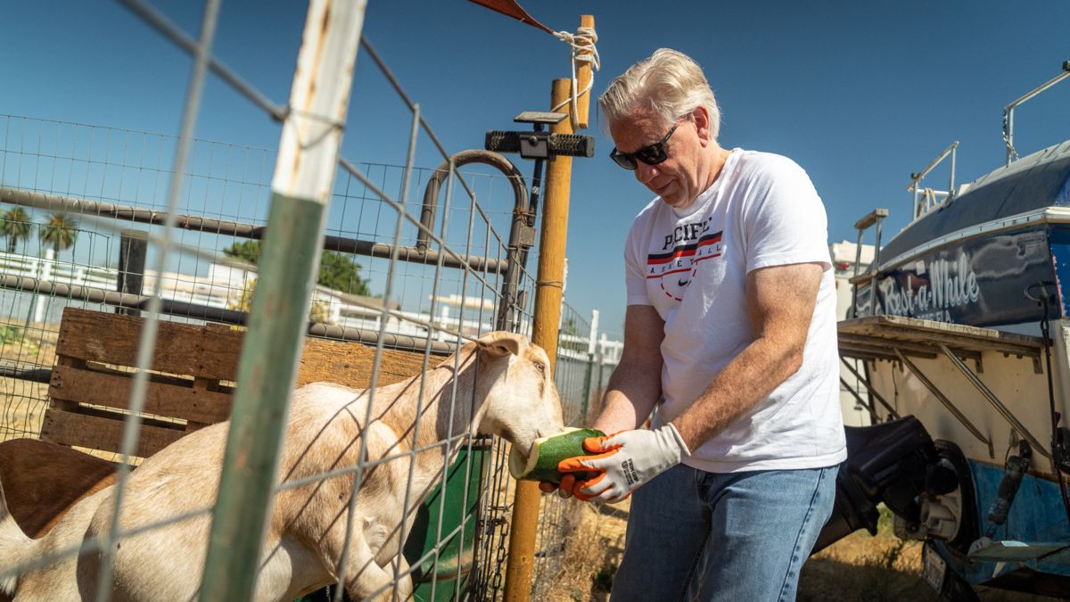President Callahan feeding a goat