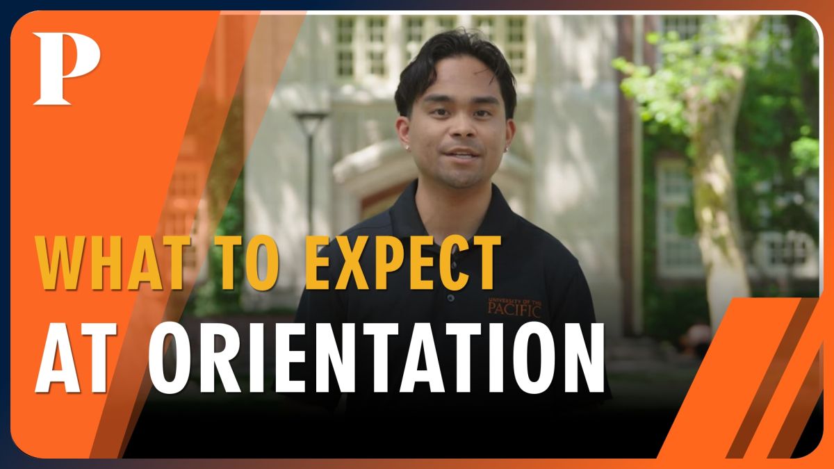 what to expect at orientation